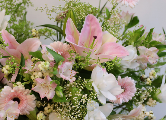 ���ӿ��� �� �డ ���� �ɹ��