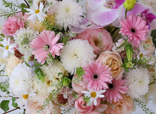 ������ ��ȫ�� �µ� ���� �ɹ��