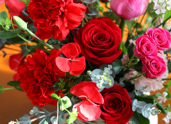 ���� ����� ��� - ������ ���� ���� �ɹ��