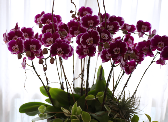 ���ֺ� �� �� �ɱ׸� - ������ �� ���� �ɹ��