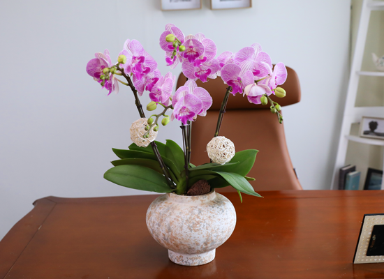 ��ƽ �� ��ũ - ������ �� ���� �ɹ��