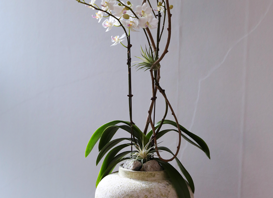 ������ �޹��� - ������ �� ���� �ɹ��