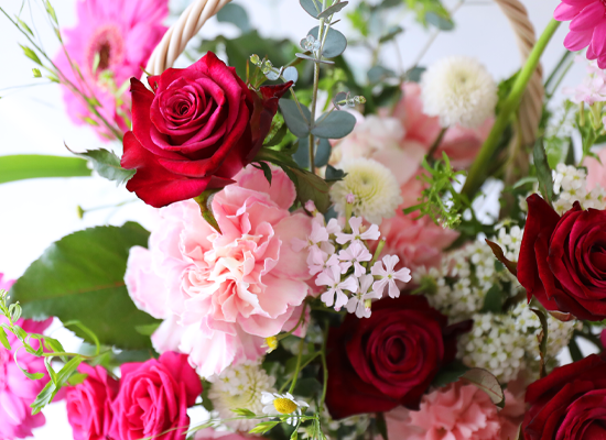 ��ũ �ȷ�Ʈ �Ҹ� - ���� ī���̼� ���� �ɹ��