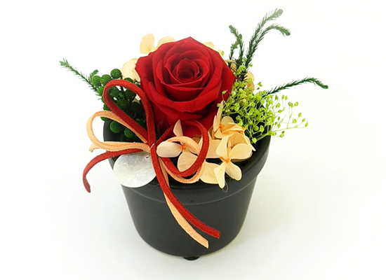 Endless Love - ����&���� ���� �ɹ��