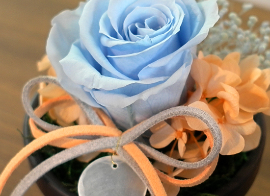 Endless Love - ����&���� ���� �ɹ��