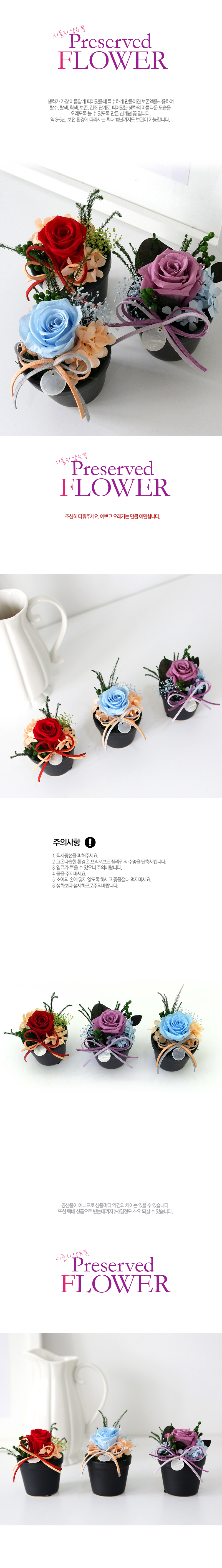 Endless Love - ����ȭ�� 3set ���� �ɹ��