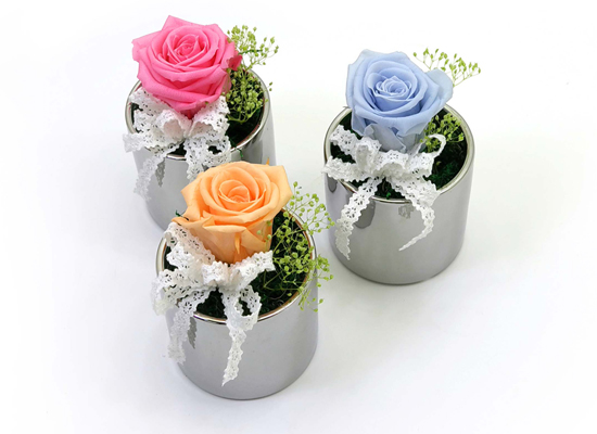 Endless Love - �ǹ�ȭ�� 3set ���� �ɹ��