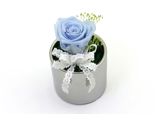 Endless Love - �ǹ�&��ī�̺��� ���� �ɹ��