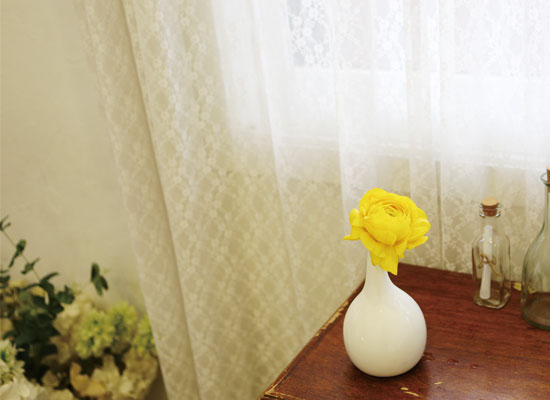 �׸�����-Botanic vase ���� �ɹ��