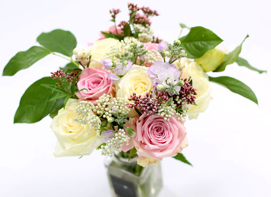 [�ù��ǰ]the Stephanie - �ҳర�� ��� ���� �ɹ��