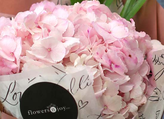 [�ù��ǰ]Fun florals by - ��ũ���̵� ���� �ɹ��