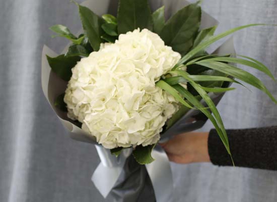 [�ù��ǰ]Fun florals by - �������� ���� �ɹ��