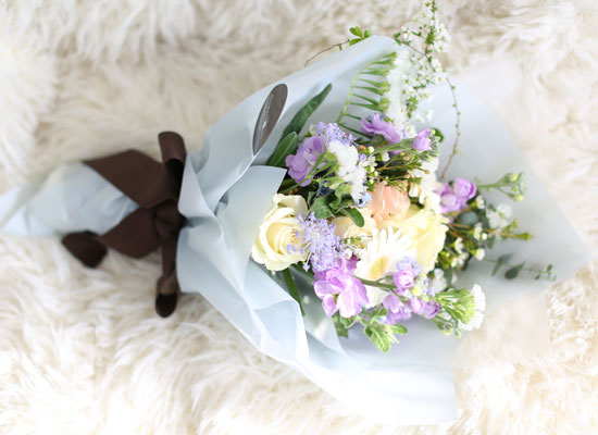 [�ù��ǰ]Spring violet - ����� ���� �޻� ��ī�� Set ���� �ɹ��