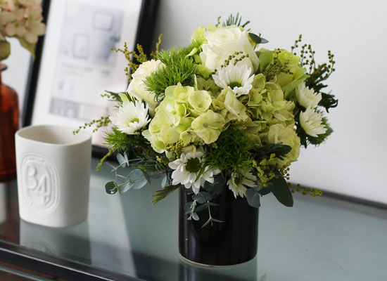 Fresh spring flower Whihe Blossom ���� �ɹ��