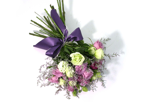 French Purple  ɹ