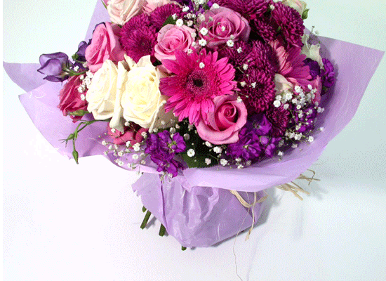 Elegant Rose  ɹ
