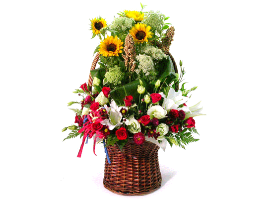 [���Ϲٱ���] Thanksgiving-ǳ��ο� ���� ���� �ɹ��