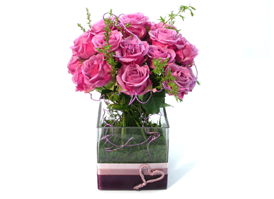 []The Rose - Lady purple  ɹ