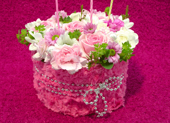 []Birthday - ũ 귯  ɹ