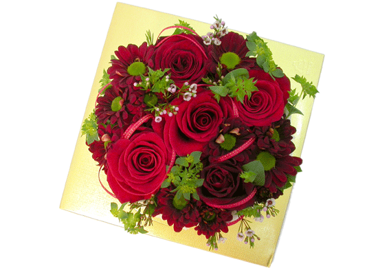 Birthday - ñ׸  ɹ