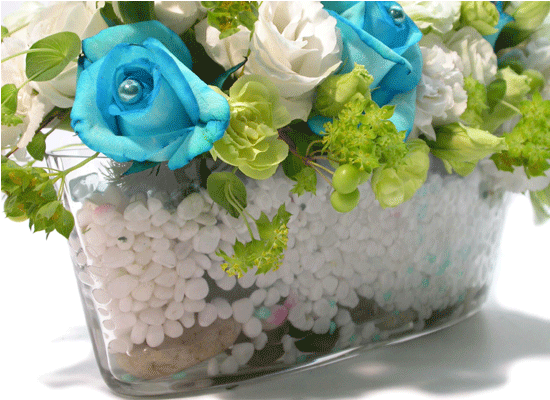 Sunny Blue()  ɹ