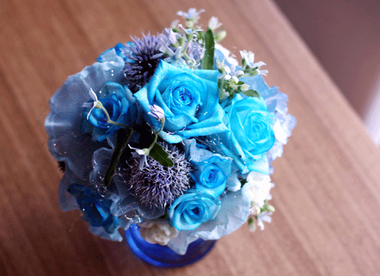 The Blue Paradise - Do you remember ���� �ɹ��