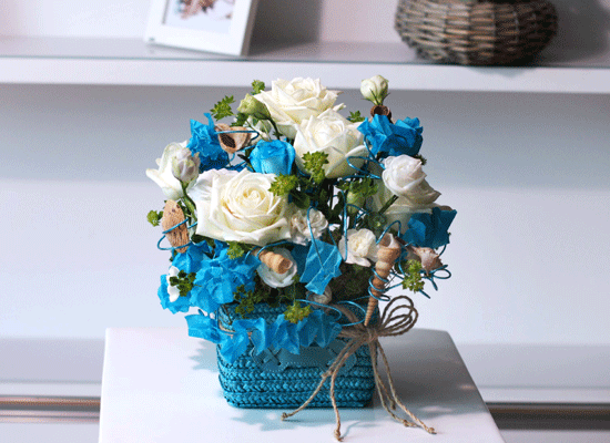 The Blue Paradise - If I could ���� �ɹ��