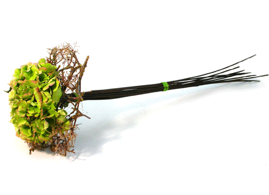 Feelingstory - �÷ζ� ���� ���� �ɹ��