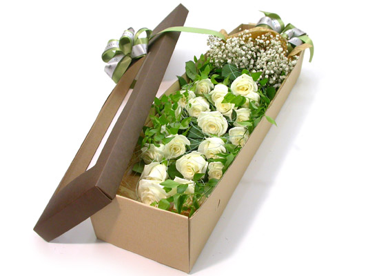 Trend box - summer party  ɹ