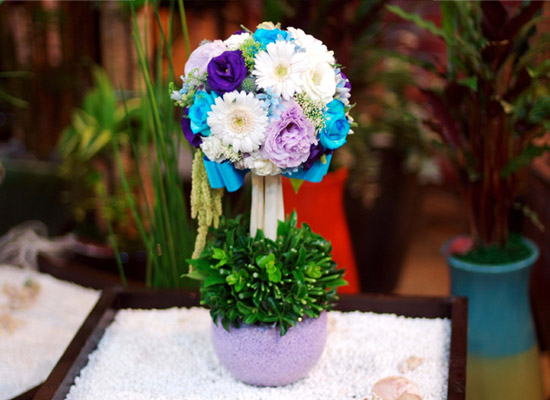 ����ƽ ���� - Indigoblue ���� �ɹ��