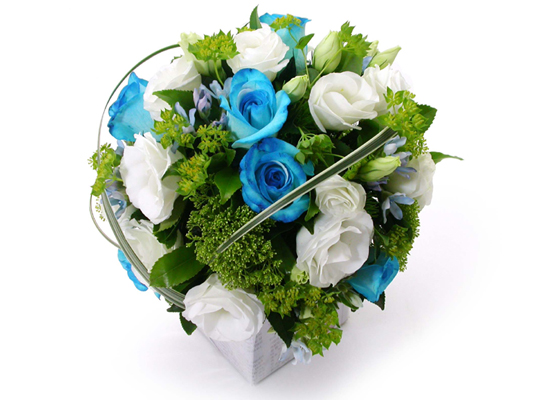 Blueberry Nights - And lovers ���� �ɹ��