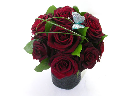 []All that rose - Roxie  ɹ