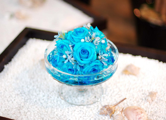 []ƽ  - Lightblue  ɹ