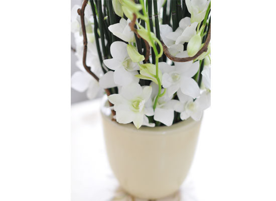 [������] Chic feminine2 - Green Sky ���� �ɹ��