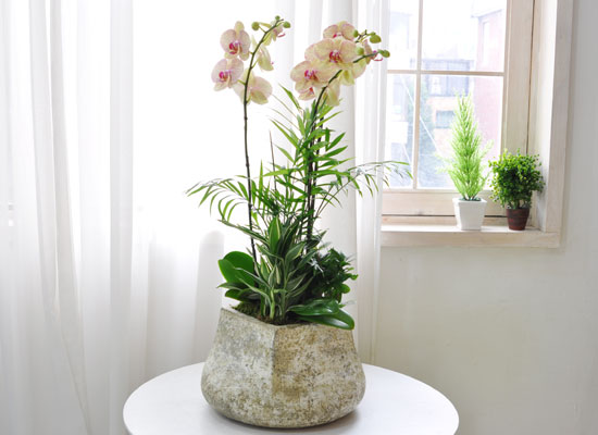 ������ ��� - ���� ȭ�⿡ ���� ȣ���� ���� �ɹ��