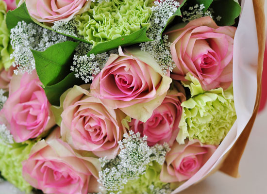 []Rose & lovely bouquet  ɹ