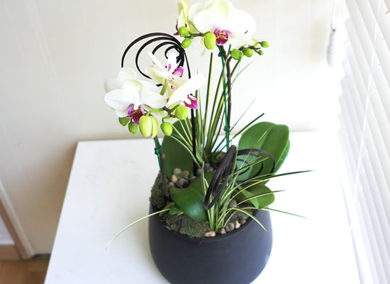 [���� ȣ����] �׸����� (��) ���� �ɹ��