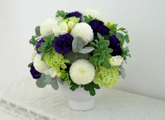 [] Elegant noble III - Pearl  ɹ