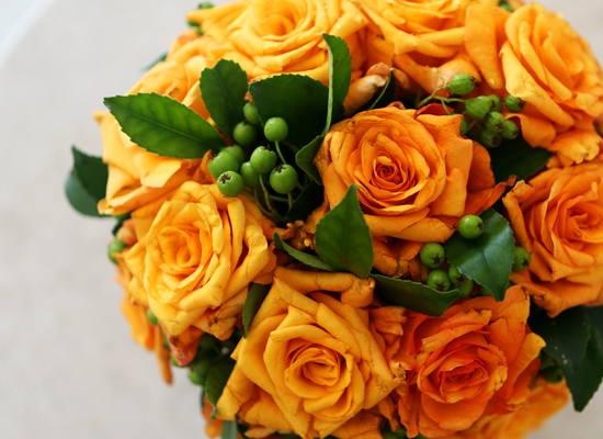 [] Beautiful colors - Orange roses  ɹ