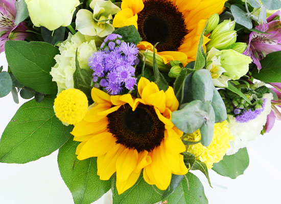sunflower - summer dream  ɹ
