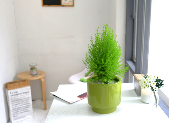 []Table deco. ׸ȭ  (*ȭ⺯)  ɹ