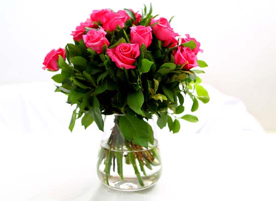 The Rose - [High quality] Only Pink rose (20)  ɹ