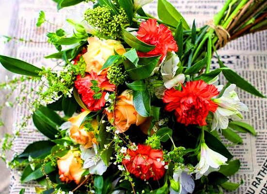 Flowers of the day  ɹ