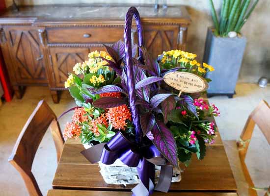 [ȭĹ]Garden gift basket -  It's always a good time!- ü  ɹ