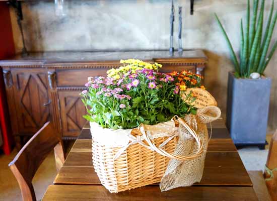 [ȭĹ]Garden gift basket - This is really cool looking!(   ü)  ɹ