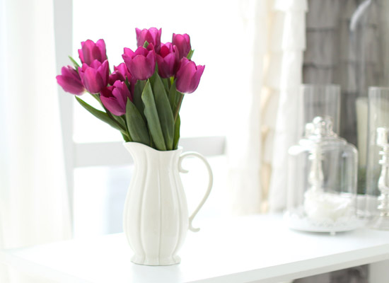 Spring&Sweet  - oh my tulip  ɹ