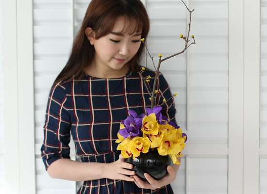 spring&sweet - yellow & puple  ɹ