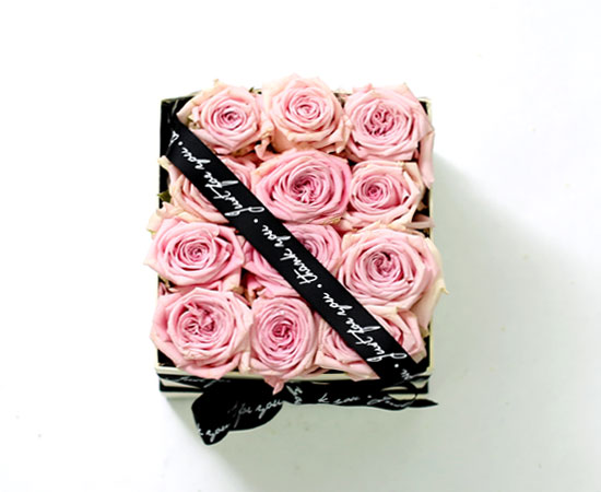 Spring loves Simple pink roses  ɹ