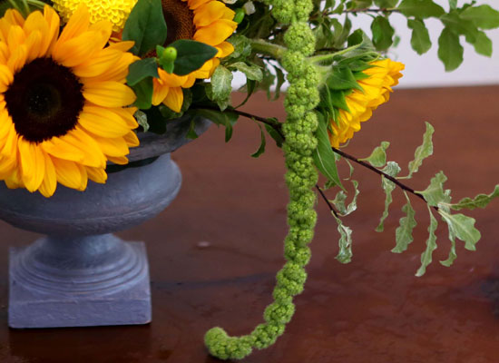 Summer Flowers - ޺ Ը  ɹ