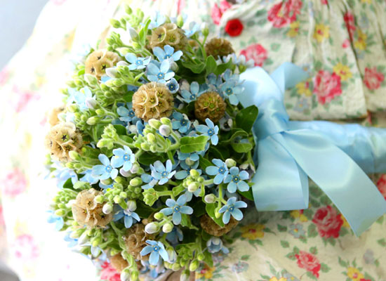 Yes it is   Oxypetalum  Bouquet  ɹ